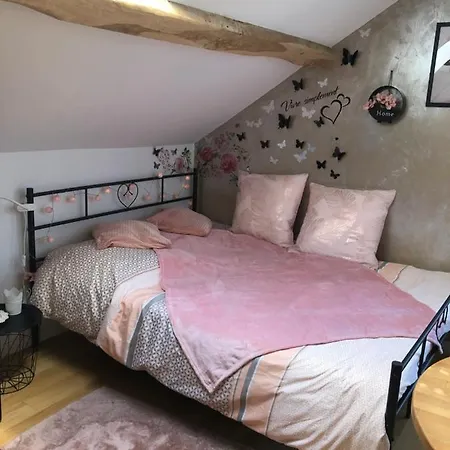 Joli Studio Centre Apartment