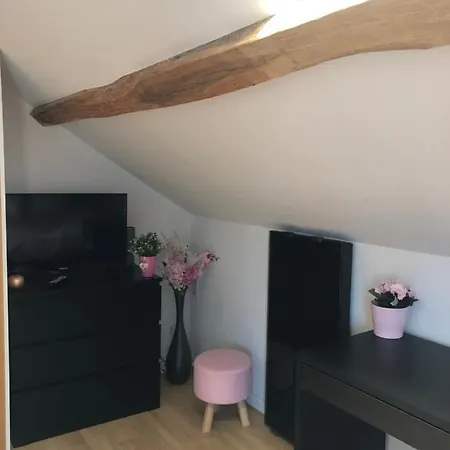 Joli Studio Centre Apartment