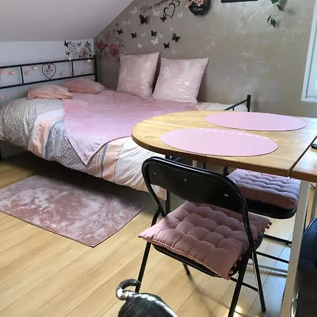 Joli Studio Centre Troyes