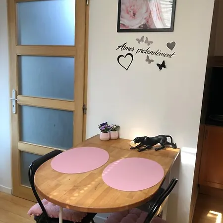 Joli Studio Centre Apartment Troyes